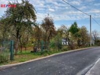REMAX Delux