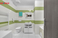 REMAX Delux