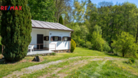REMAX Delux