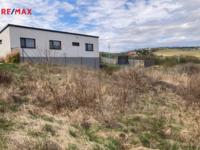 REMAX Delux