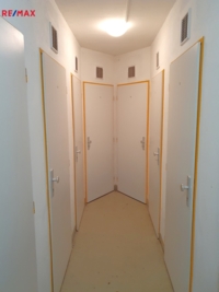 2915806.jpg