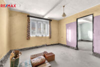 REMAX Delux