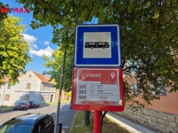 2942501.jpg
