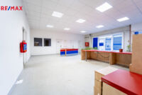 REMAX Brno