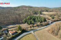 REMAX Delux