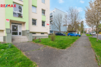 REMAX Delux