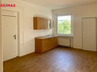 REMAX Delux