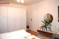 REMAX Delux