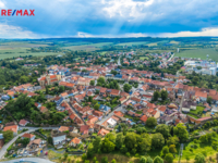 REMAX Delux