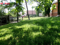 REMAX Delux