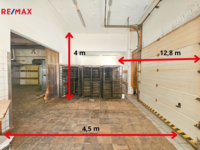 REMAX Delux