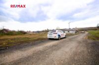 REMAX Delux