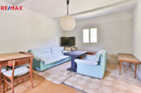 REMAX Delux