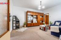 REMAX Delux
