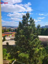 Realitní makléř Brno