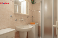 REMAX Delux
