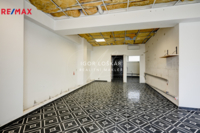 REMAX Delux