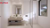 REMAX Delux