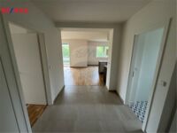 REMAX Delux