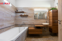 REMAX Delux