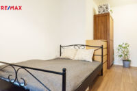 REMAX Delux