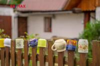 DSC00700.jpg