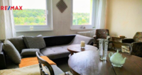 REMAX Delux