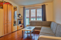 REMAX Delux