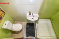 REMAX Delux
