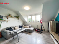 REMAX Delux