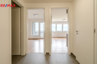 REMAX Delux