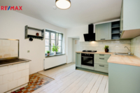 REMAX Delux