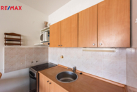 REMAX Delux