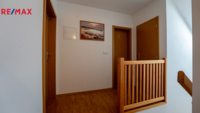 REMAX Delux