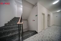 2688046.jpg