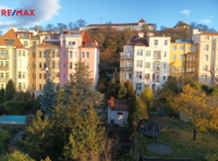 REMAX Delux
