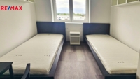 REMAX Delux
