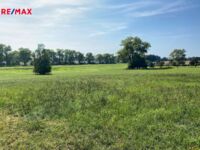 REMAX Brno