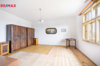REMAX Delux