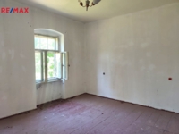 REMAX Delux