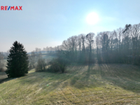 REMAX Delux