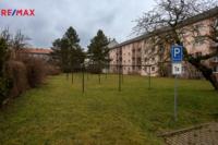 2694777.jpg