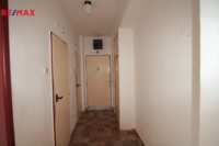 REMAX Delux