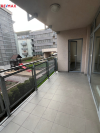 REMAX Delux