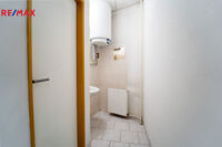 REMAX Delux