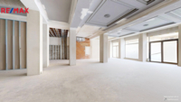 REMAX Delux