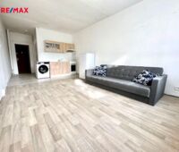 REMAX Delux