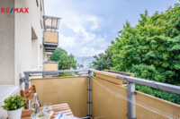 REMAX Delux