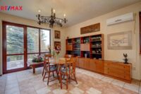 REMAX Delux