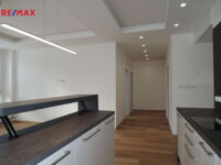 REMAX Delux